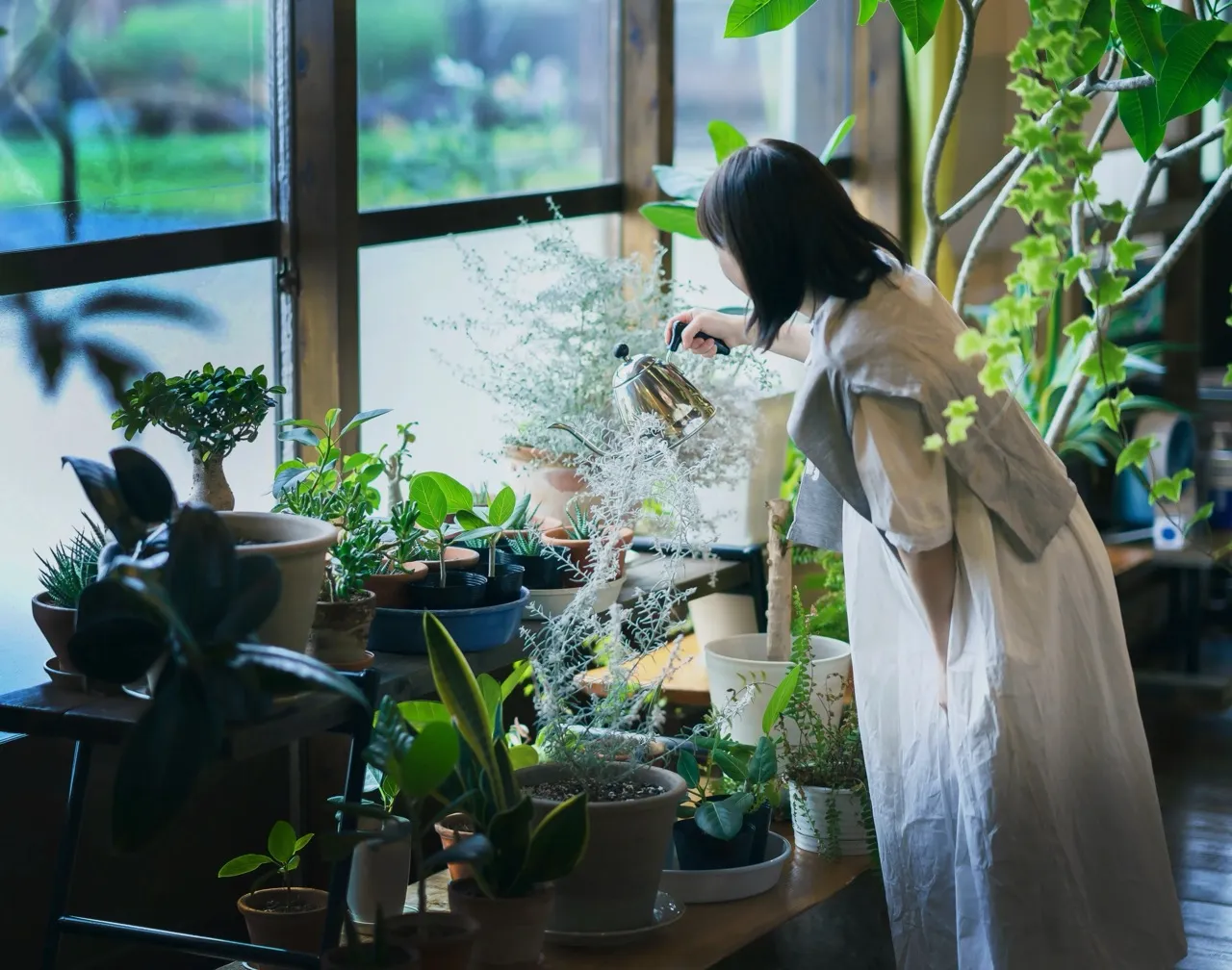 背景