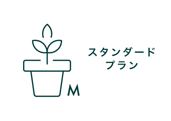 スタンダードプラン